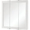 Home Decorators Collection 24-3/16" W X 24-3/16" H Bathroom Medicine Cabinet -Whirlpool Shop 214104 MainProductImage Lg