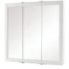 Home Decorators Collection 30" W X 29" H Bathroom Medicine Cabinet W/ Mirror -Whirlpool Shop 214107 MainProductImage Lg