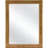 Glacier Bay 15-1/8 In X 19-1/4 In Bathroom Medicine Cabinet In Oak With Mirror