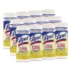 Lysol Disinfectant Wipes (12-Canister) -Whirlpool Shop 278962 MainProductImage Lg