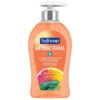 Softsoap 11.25 Oz Antibacterial Liquid Hand Soap (Crisp Clean) (6-Carton) -Whirlpool Shop 366866 MainProductImage Lg
